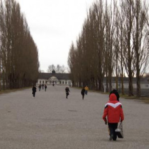 Munique 2010 (I)