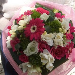 Flores