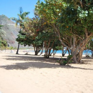 Tenerife