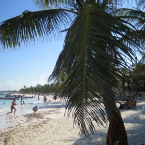 Mexico  2010