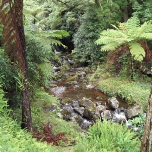Açores - Ilha de são Jorge