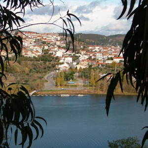 20081201 028 [800x600].jpg