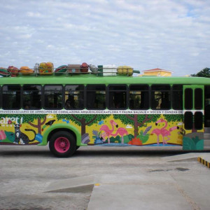 Autocarro para o Xcaret