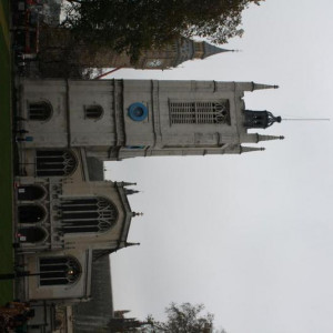 IMG_3384.JPG