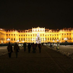 IMG_4165.JPG