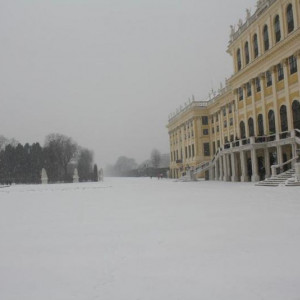 IMG_4207.JPG