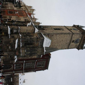 IMG_4217.JPG
