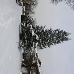 IMG_4419.JPG