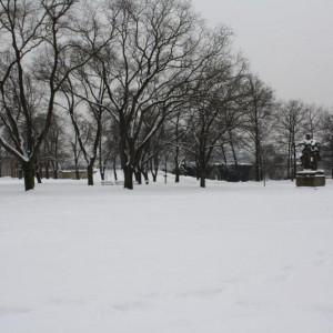 IMG_4593.JPG