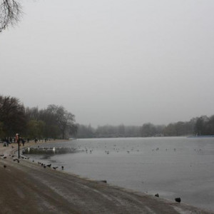 IMG_4733.JPG