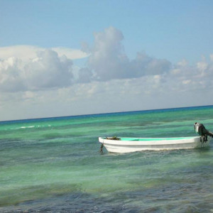 DSCN3782.JPG
