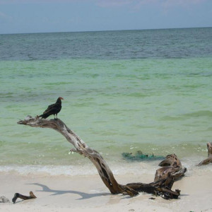 Reserva Sian Ka'an