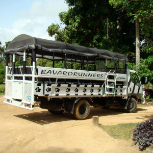 Bavaro Runners