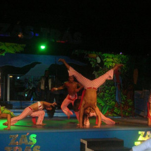 Natal