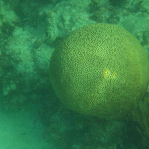 8a