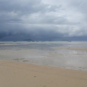 P7290063