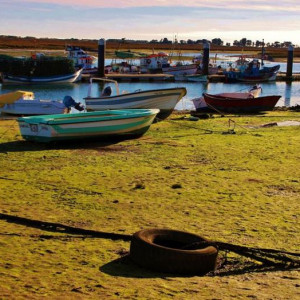 SANTA LUZIA 086