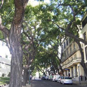 Centro do Funchal