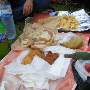 Piquenique junto ao Teleférico