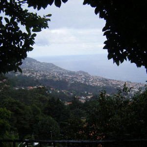 Monte - Vista para o Funchal