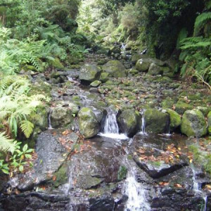 Levada do Caldeirão  Verde