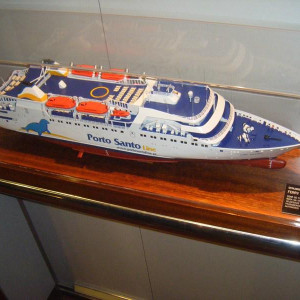 Lobo Marinho -  A Caminho de Porto Santo