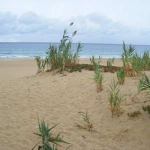 Praia do Hotel