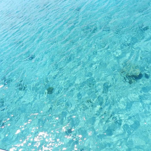 a caminho da Ilha Catalina - agua maravilhosa