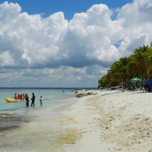 Ilha Catalina