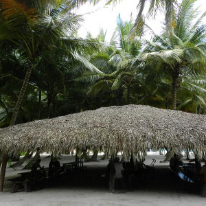 ilha Saona - almoço