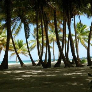 ilha Saona