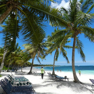 ilha Saona
