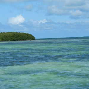 ilha Saona