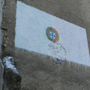 DSCN3336 (Cópia)
