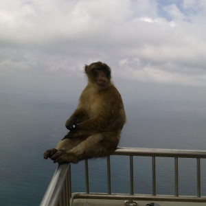 Gibraltar