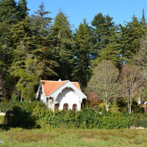 DSC 0604