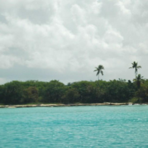 ilha saona