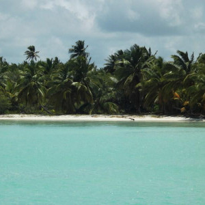 ilha saona