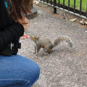 Londres  hyde park