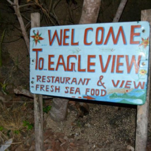 Eagle View