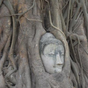 Ayuttaya