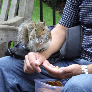 Londres hyde park