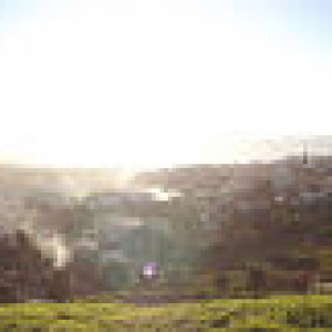 Vistas
