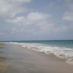 P6040174