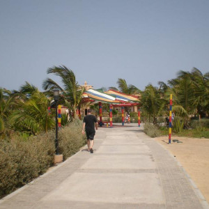 P6050266