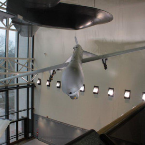 IMG 4547