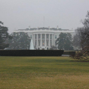 The White House