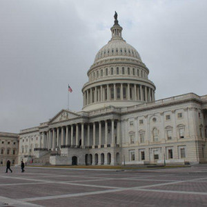 The Capitol