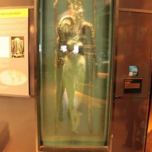 IMG 4724