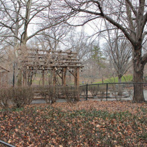 Central Park